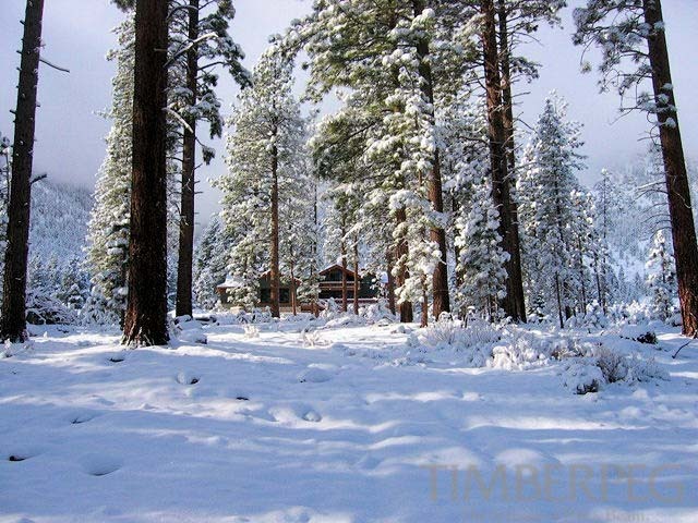Jobs Peak, NV (5679) exterior view from a distance through snow and trees