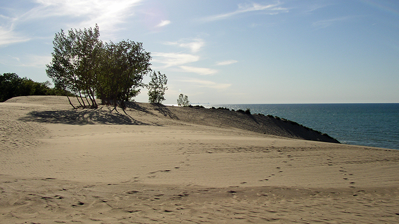 Indiana dunes